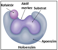 çizgi film içeren bir resim

Yapay zeka tarafından oluşturulmuş içerik yanlış olabilir.